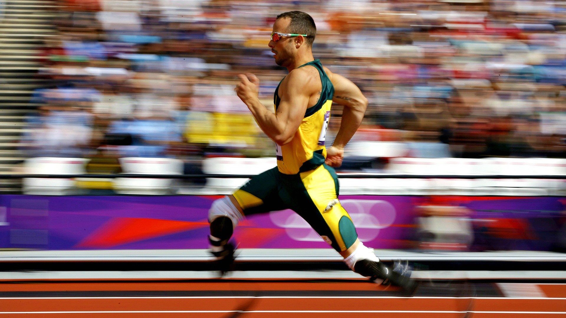 新闻中心公开新一届国家体育科技顾问专家名单，国家体育科学协会